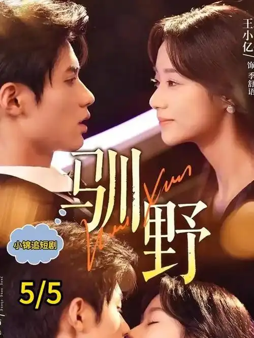 年代电视剧全集雪落长安街